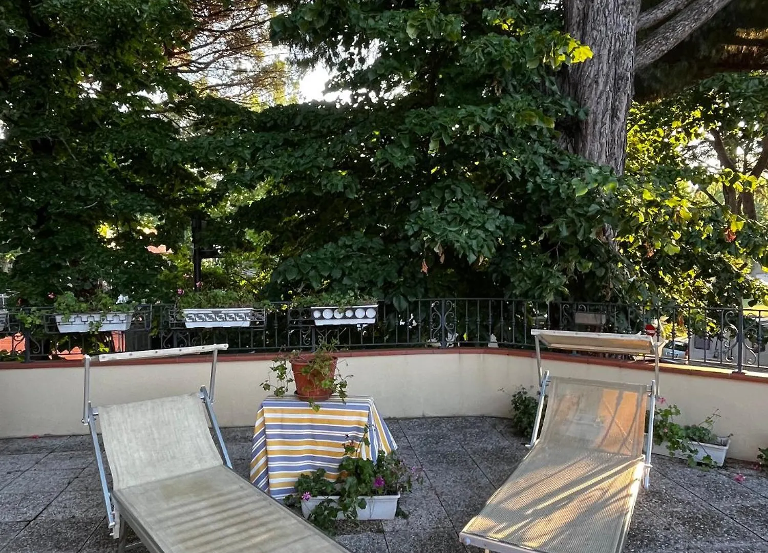 Meuble Anita Hotel Cesenatico